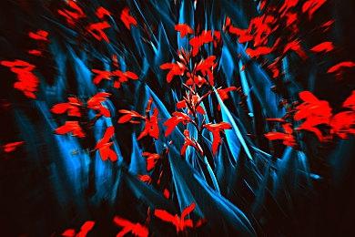 恐怖电影公司Blumhouse进军游戏业 公布六款作品