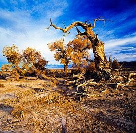 PUBG工作室新作Project Black Budget或于明年发布